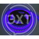 СД лента Devol LS-2835-120LED-IP20-BLUE Синяя, цена за 5м (KHA No:A-137) (1/100) купить ОПТОМ в Донецке ДНР, ЛНР, Макеевке, Мариуполе, Горловке, Енакиево, Харцызске, Шахтерске, Луганске, Алчевске ЭлектроХозТорг 