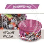 Ароматизатор ж/б AIM-ONE Лесные ягоды. AIM-ONE Organic Cans Wildberry mix (ORGANI.CA) ORG-WIL купить ОПТОМ в Донецке ДНР, ЛНР, Макеевке, Мариуполе, Горловке, Енакиево, Харцызске, Шахтерске, Луганске, Алчевске ЭлектроХозТорг 